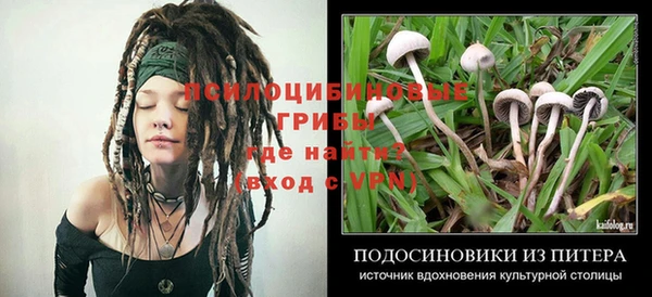 марихуана Абинск